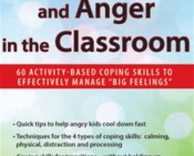 Anxiety2C ADHD and Anger in the Classroom 60 Activity Based Coping Skills to Effectively Manage E2809CBig FeelingsE2809D - BoxSkill net