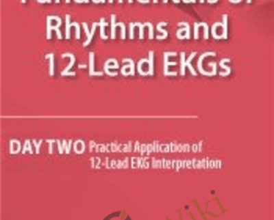 Fundamentals of Rhythms and 12 Lead EKGs - BoxSkill net