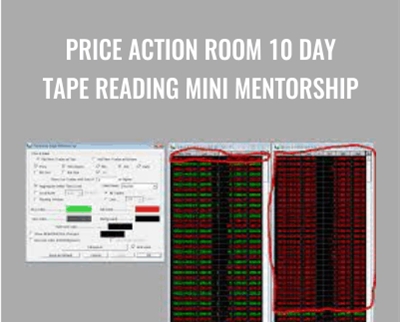 Joel Parker E28093 Price Action Room 10 Day Tape Reading Mini Mentorship - BoxSkill net