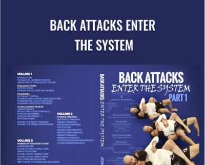 John Danaher Back Attacks Enter the System - BoxSkill net