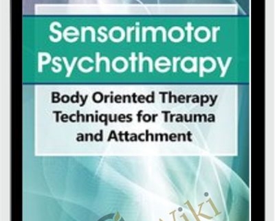 Sensorimotor Psychotherapy Body Oriented Therapy Techniques for Trauma and Attachment - BoxSkill net