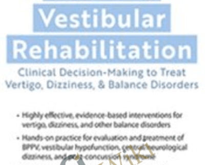 The Hands On Guide to Vestibular Rehabilitation - BoxSkill net