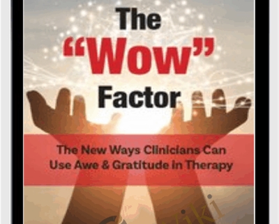 The Wow Factor The New Ways Clinicians Can Use Awe and Gratitude in Therapy Jonah Paquette - BoxSkill net