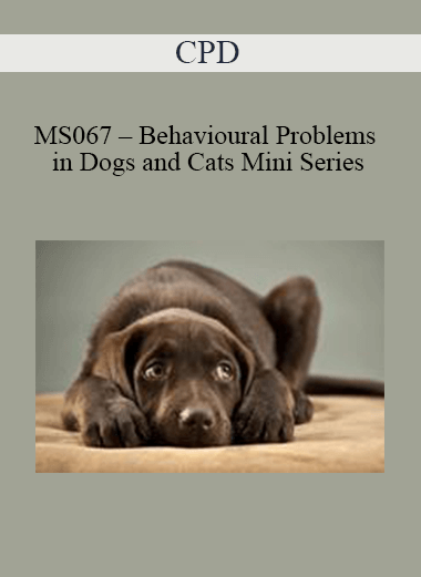 Purchuse CPD - MS067 – Behavioural Problems in Dogs and Cats Mini Series course at here with price $479 $114.